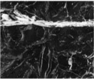 Nero Marquina